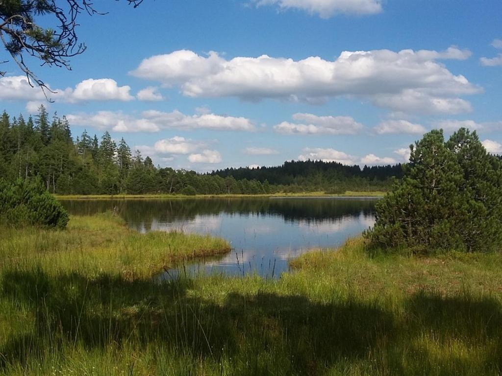 Landhotel Und Gasthof Kirchberger Wildsteig Zewnętrze zdjęcie